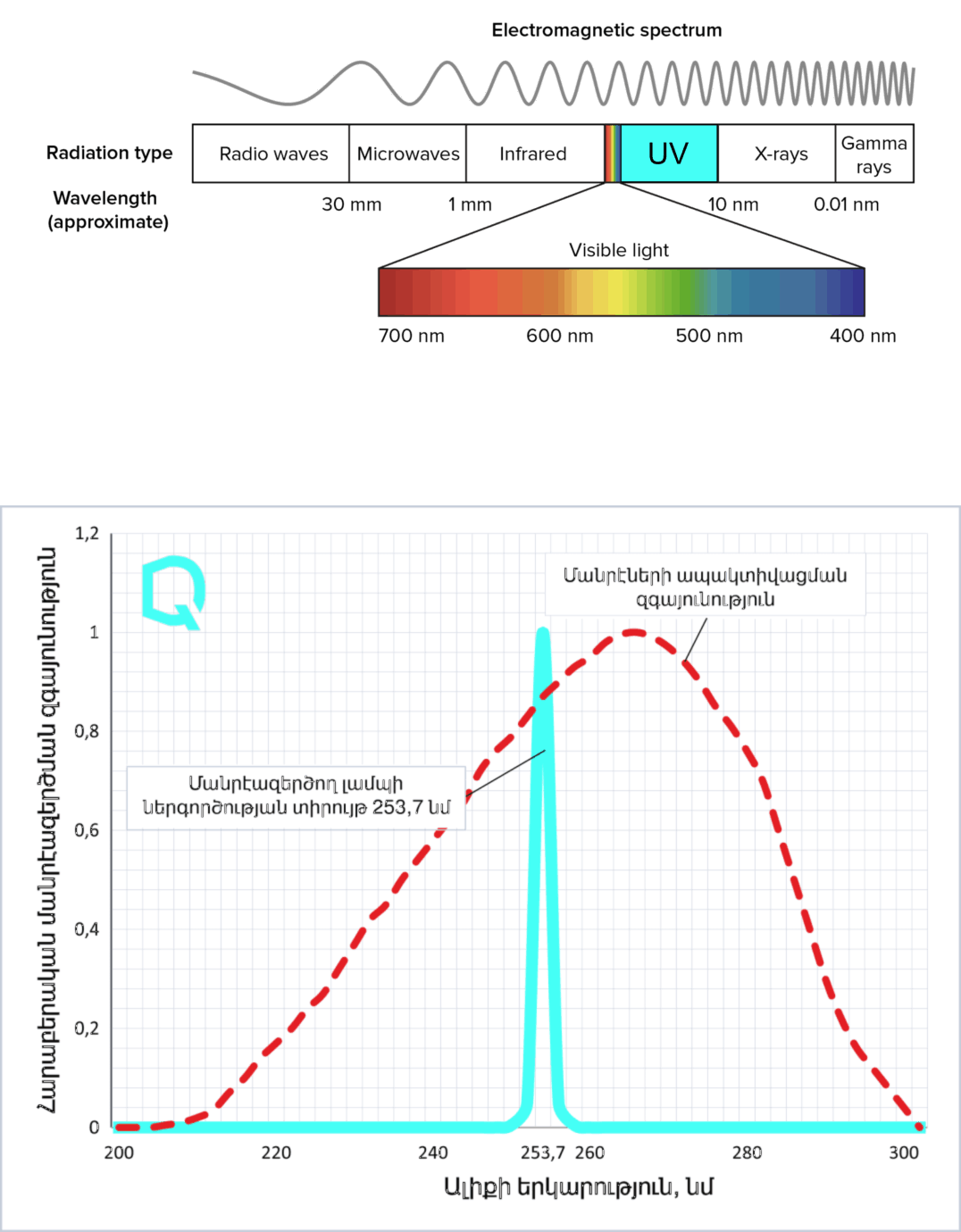 Էլեկտրամագնիսական ալիքներ